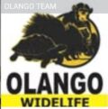 olangowildlife-park.com
